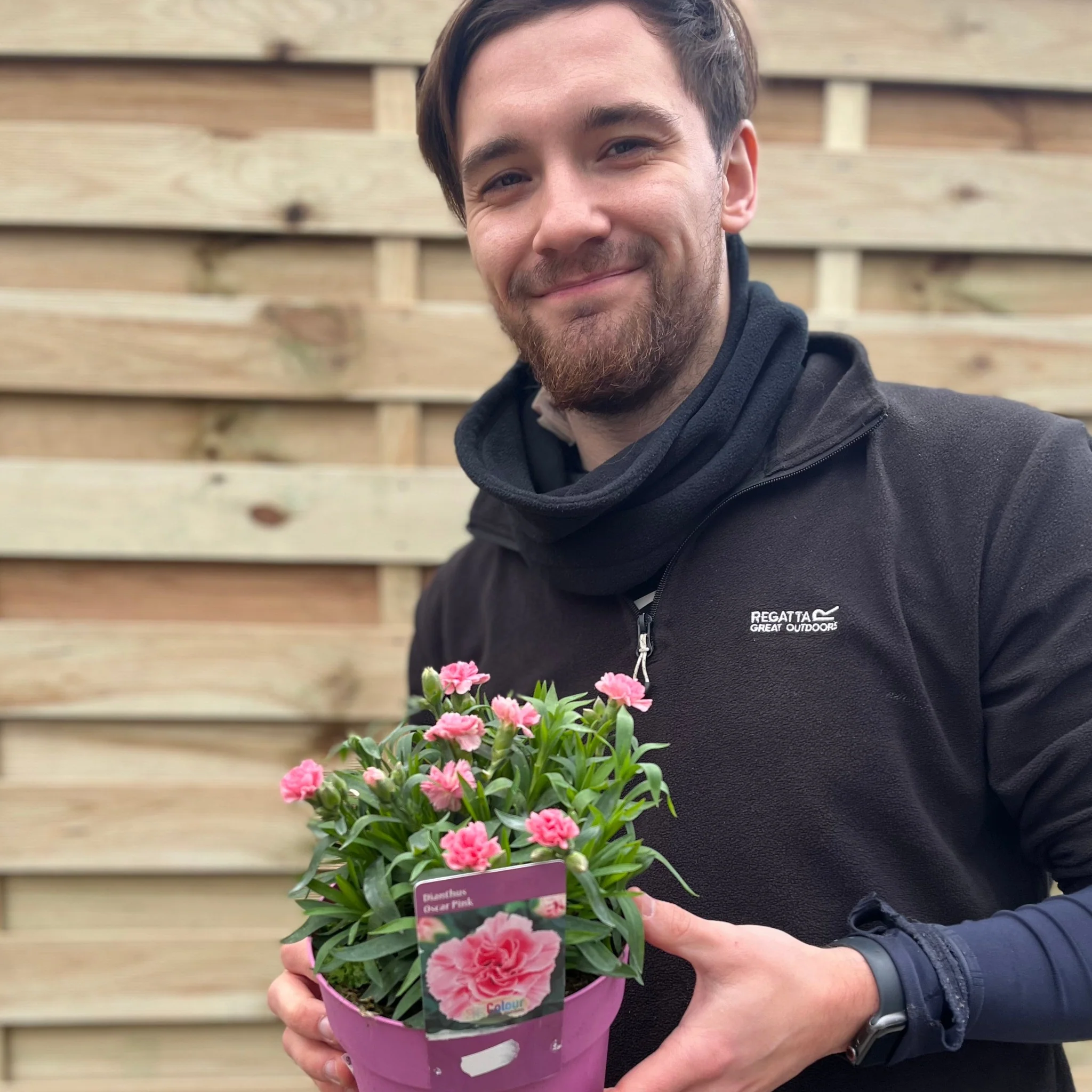 Dianthus 'Oscar Pink'
