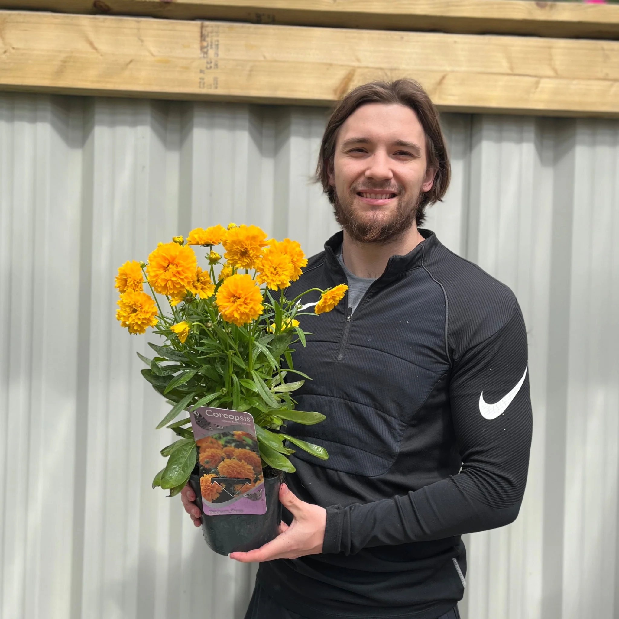 Our Selection of 3 x 2L Perennial Plants - Image 4