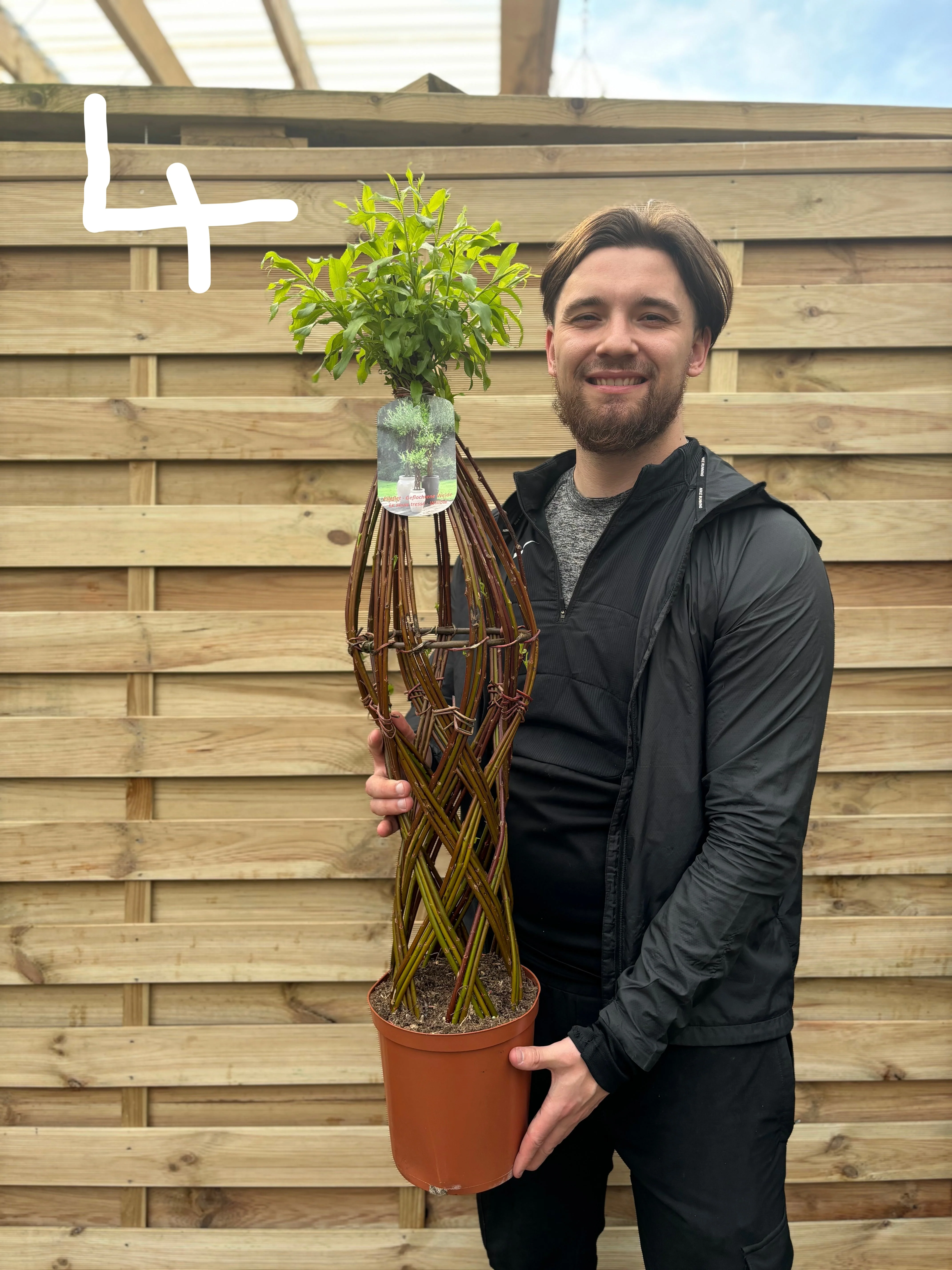 Salix Living Braided Willow Tree Sculpture (80-90cm) - Image 4